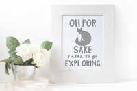 For Fox Sake - Explore